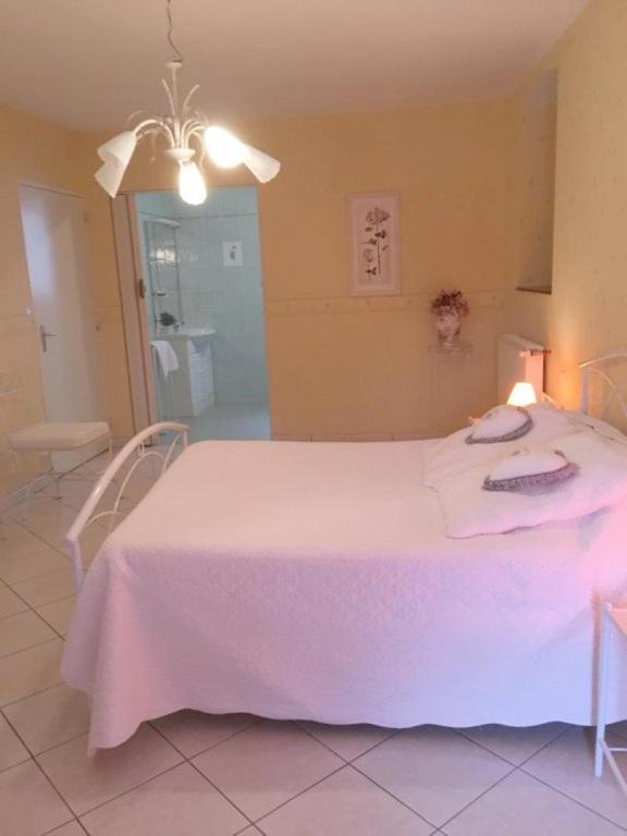 Saint-Santin-Aveyron Chambres D'Hotes Du Maspourquet מראה חיצוני תמונה